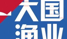 网易最新消息爆料新闻,最新热点事件深度解析